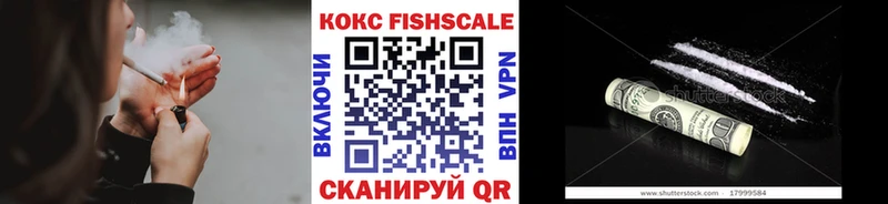 КОКАИН Fish Scale Купить где Власиха