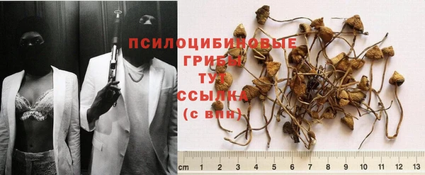 apvp Лиски