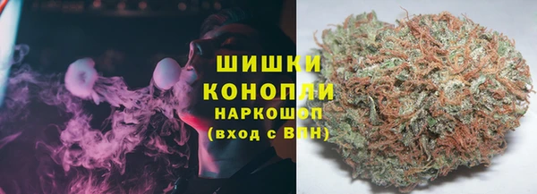 apvp Лиски